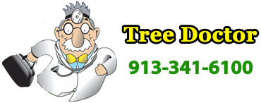 http://treedoctorkc.com/wp-content/uploads/2014/08/logo.png